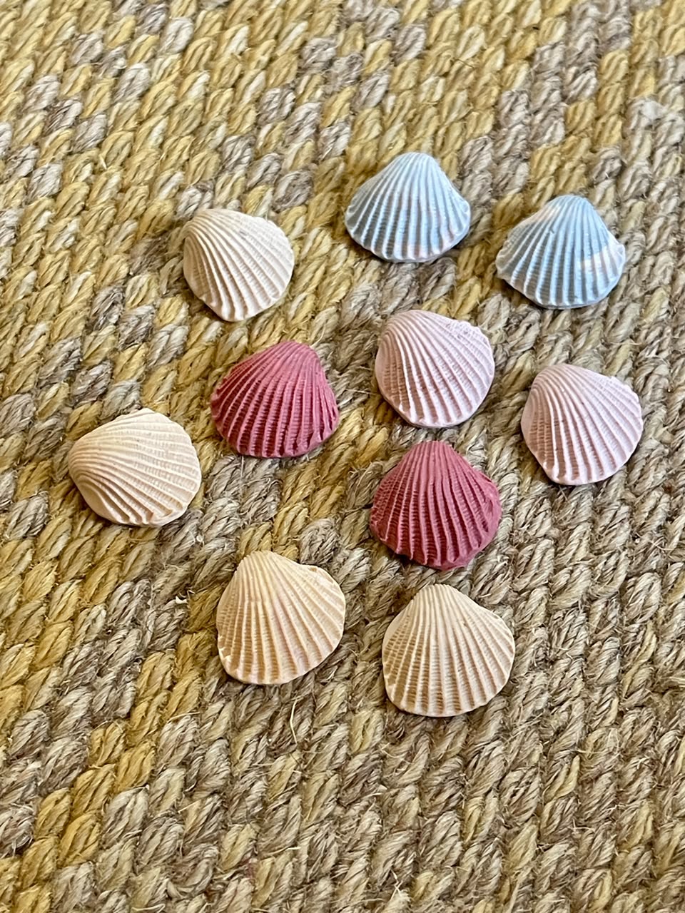 Clam Studs
